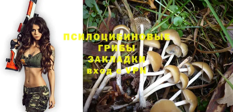 как найти закладки  Усолье-Сибирское  Псилоцибиновые грибы MAGIC MUSHROOMS 